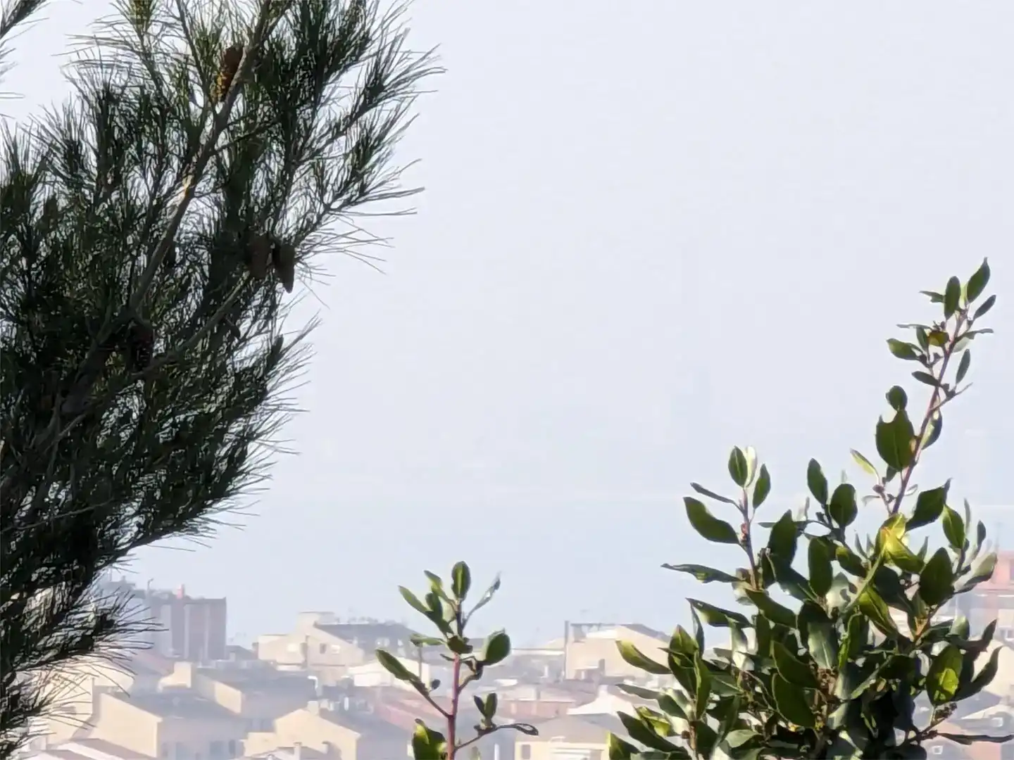 Vista exterior de Terreno en venta en Califòrnia - Santa Madrona  