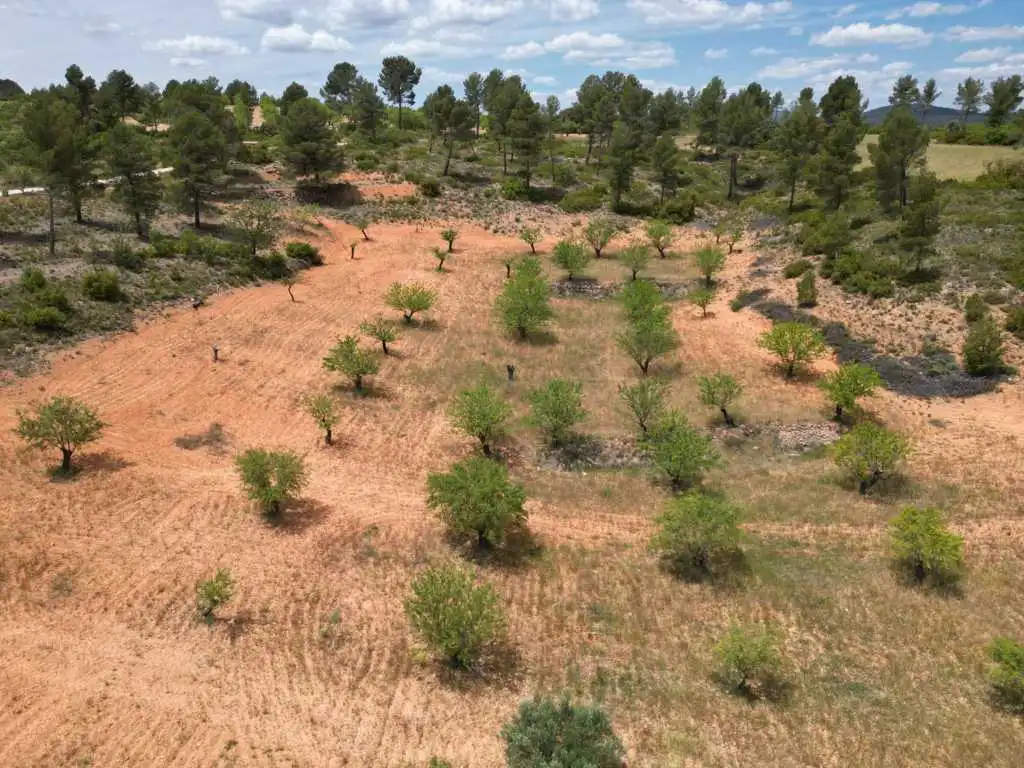 Residential for sale in Vallejo De La Tia Casta, Mira