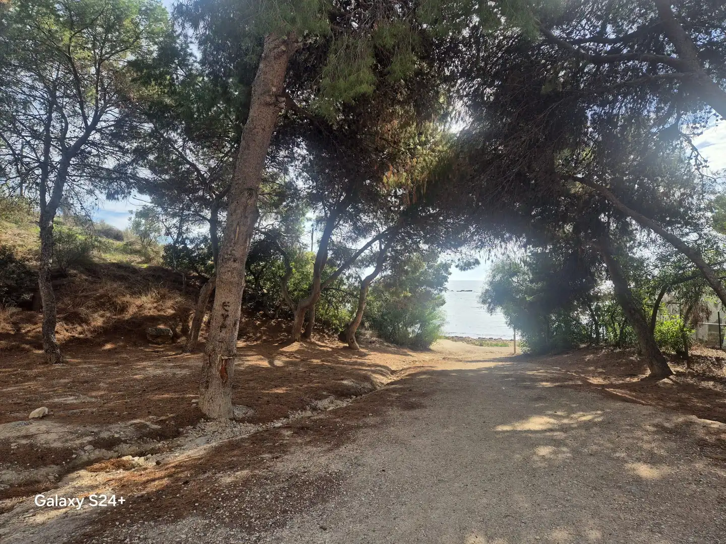 Casa o chalet en venta en Pueblo Español - Coveta Fumá