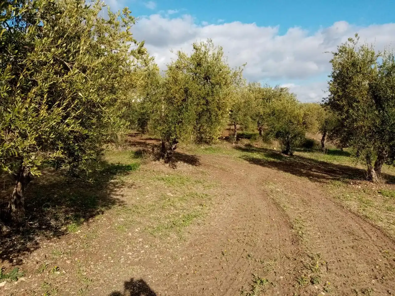 Rural land for sale in N/A, imagen 4