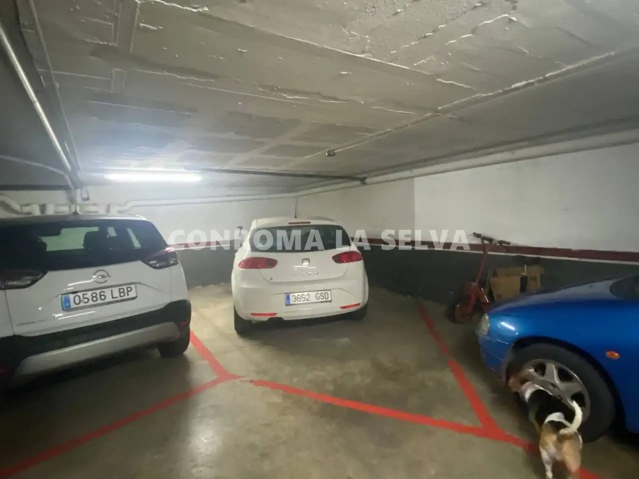 Wohnung mit Aufzug zum Verkauf in El Molí-El Rieral, imagen 19