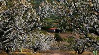 Jardí de Finca rústica en venda en Jarandilla de la Vera amb Aire condicionat, Calefacció i Jardí privat