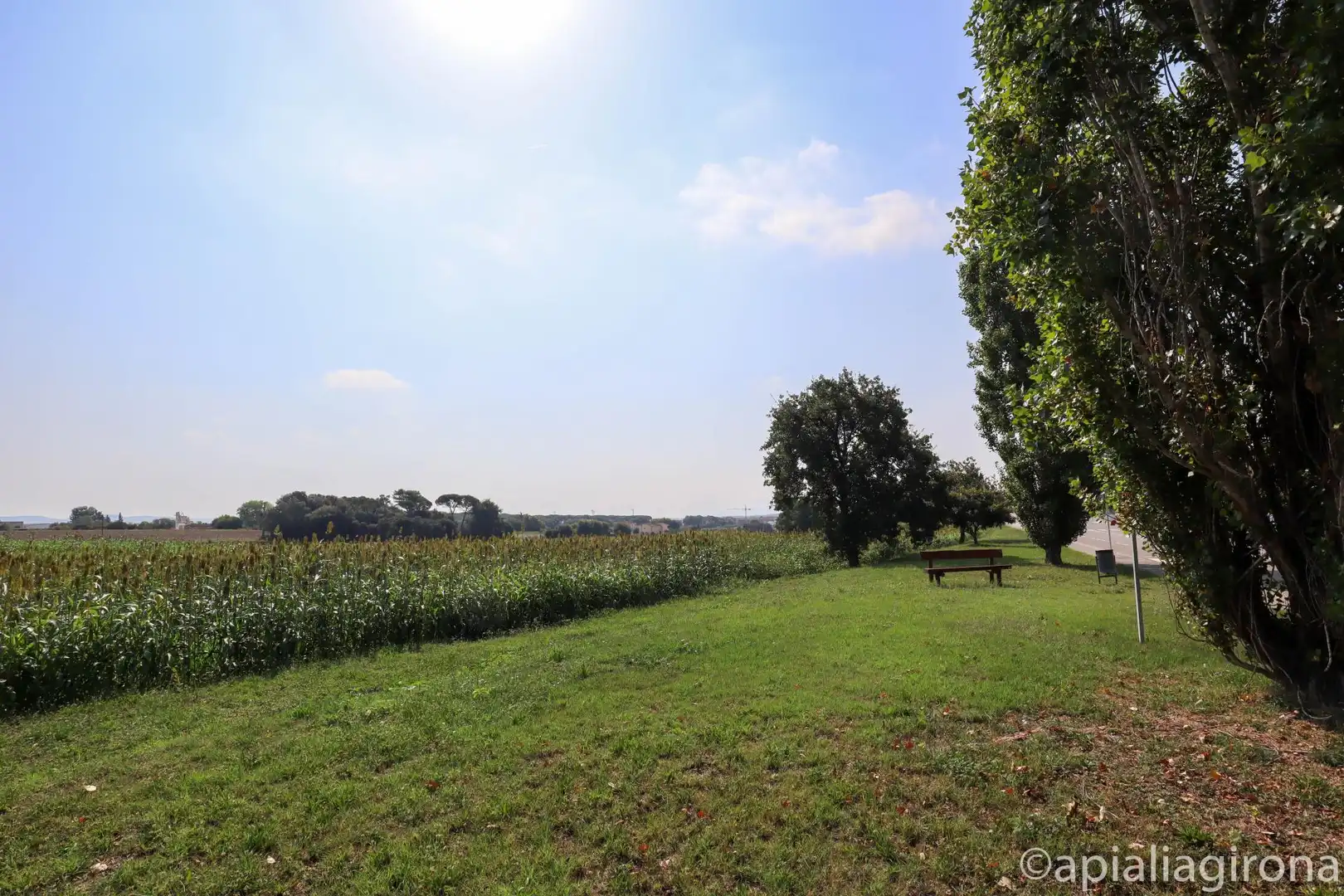 Terreno residencial en venta en Llevant, imagen 14