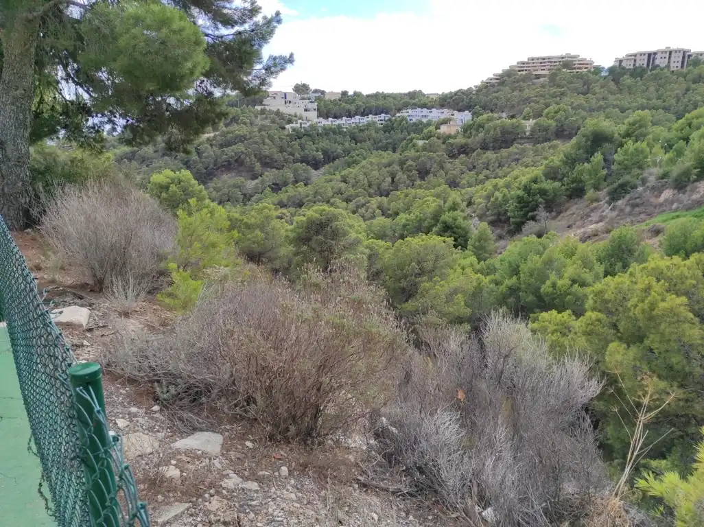 Terrain résidentiel à vendre à PRINCIPAL DE LA SIERRA, imagen 7