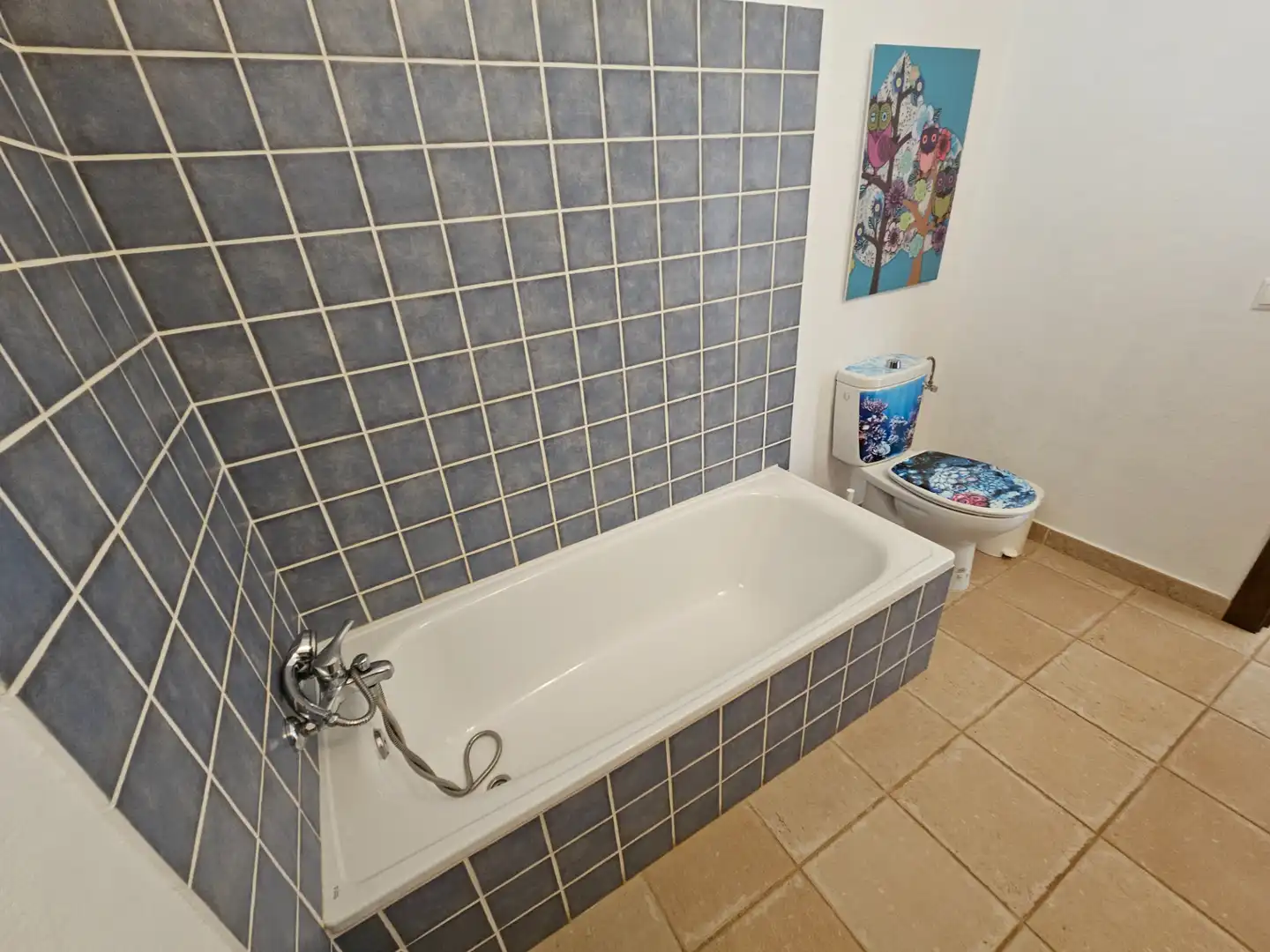 Bany de Casa o xalet en venda en Tuineje amb Jardí privat, Terrassa i Traster