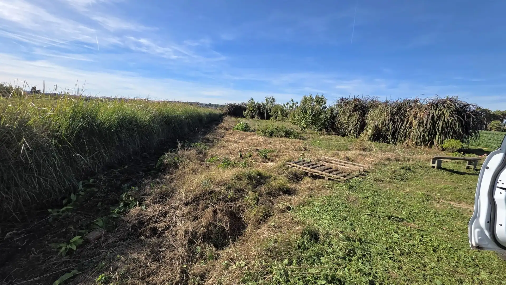 Land for sale in Valencia