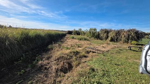 Photo 5 of Land for sale in Camino de Borbotó a Masarrochos, 35, Borbotó, Valencia