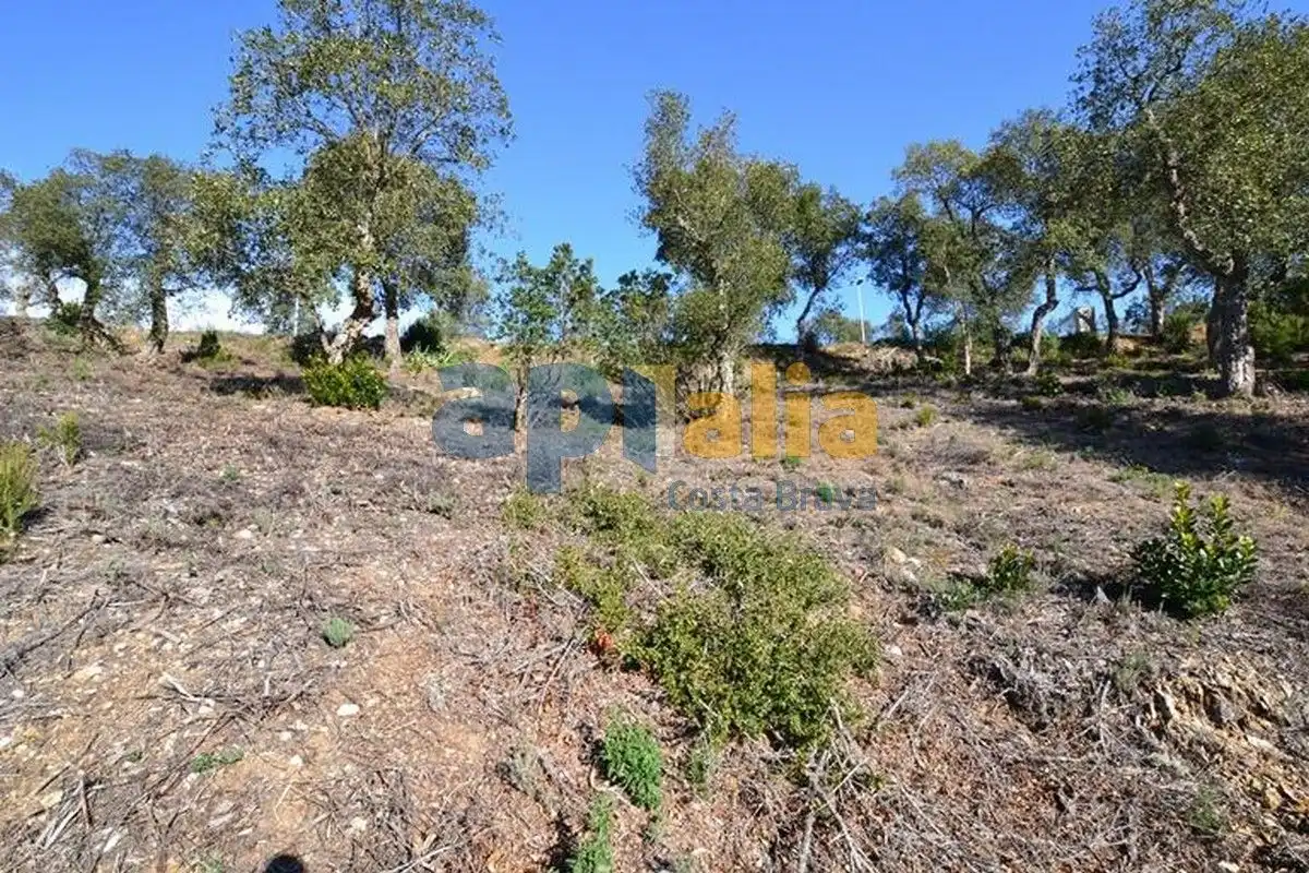 Residential land for sale in Carrer Avet