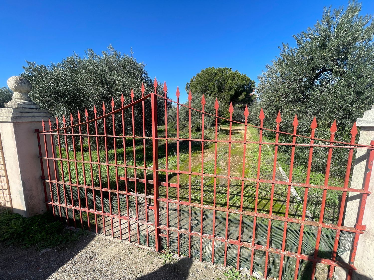 Land for sale in Dos Hermanas
