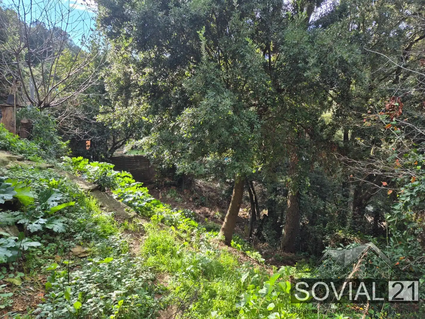 Casa o chalet en venta en Barcelona con Jardín privado y Terraza