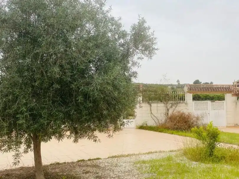 Casa o xalet en venda en Bigastro amb Piscina i Balcó