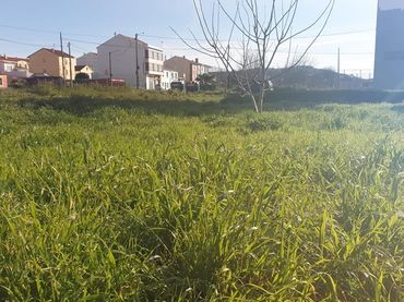 Terreny residencial en venda a Piñeiros- Freixeiro