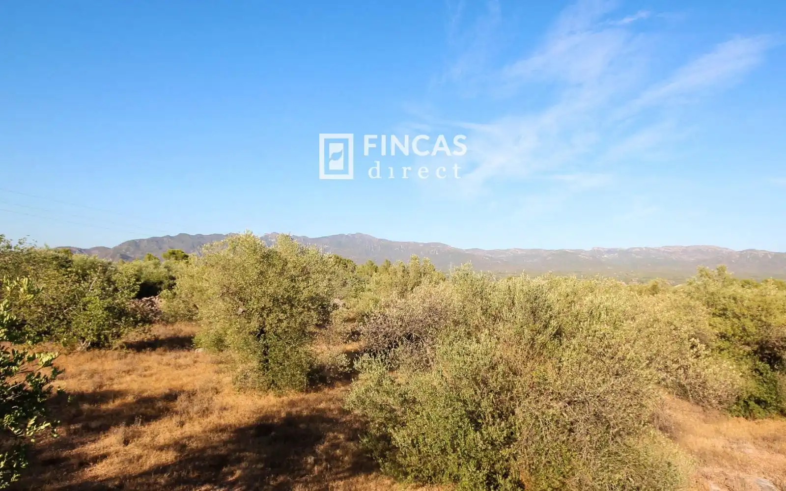 Country homes for sale in Xerta