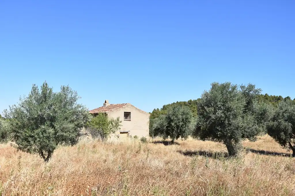 Terreno en venta en Arens de Lledó