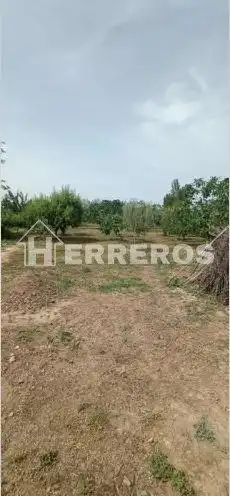 Maison à vendre à diseminados villamediana, imagen 13