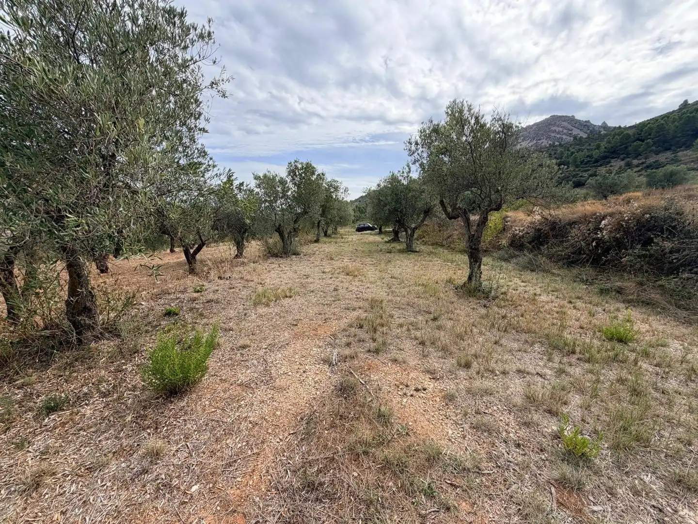Residencial en venta en Fageca, Alicante