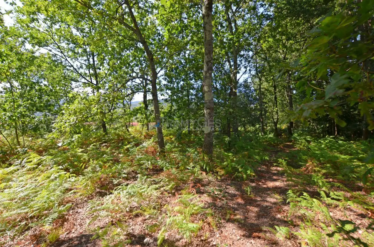 Wohnbaugrundstück zum Verkauf in LUGAR A COSTA, imagen 11
