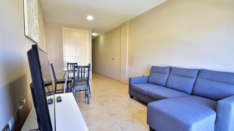 Foto 2 de Piso de alquiler en Gracia, San Cristóbal de la Laguna