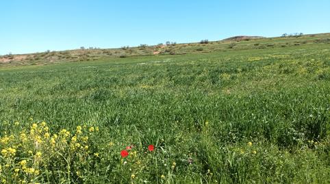 Foto 2 de Terreno en venta en Alcaraz, Albacete