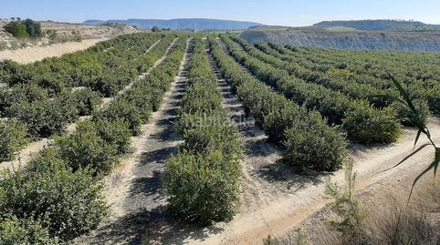 Photo 2 of Land for sale in N/a, -1, Paus - Poligono San Blas, Alicante