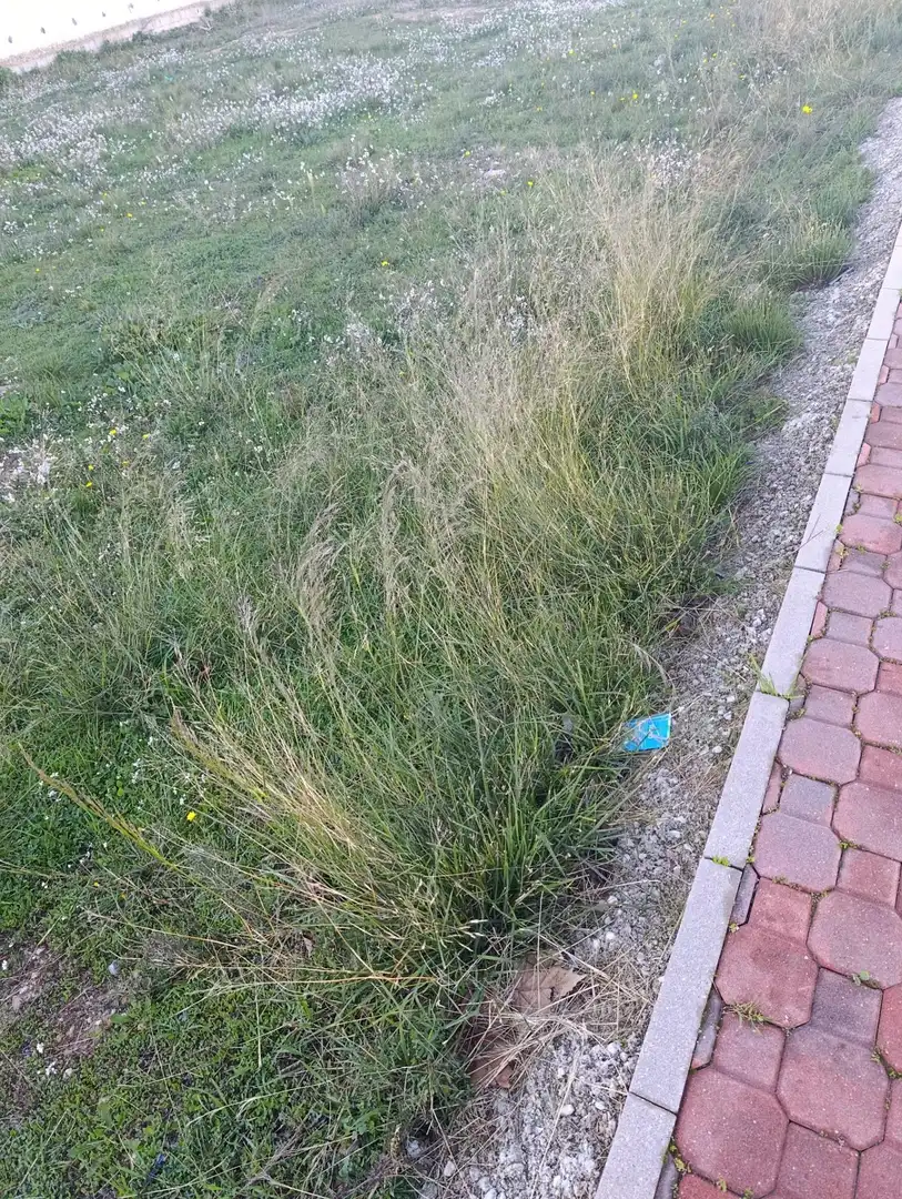 Terreni e lotti in vendita a Bullas, imagen 14