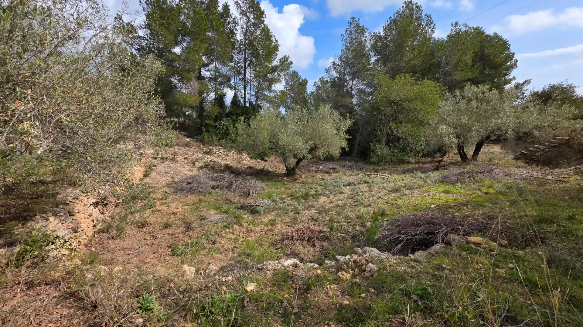 Maison rustique avec jardin à vendre à L'Ametlla de Mar pueblo, imagen 26
