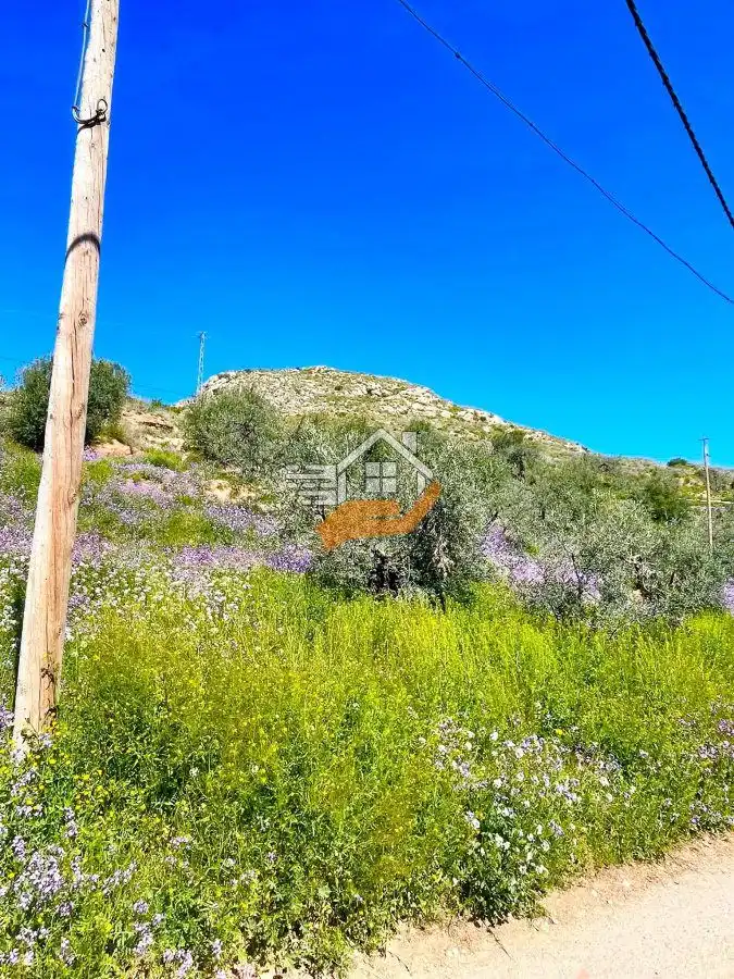Finca rústica en venda en Vélez-Rubio