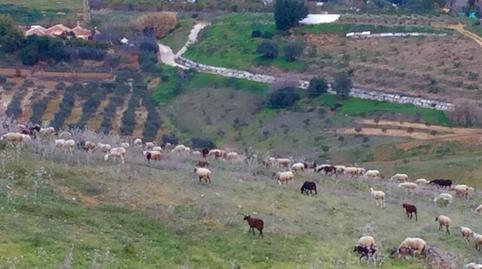 Foto 4 von Country house zum Verkauf in Pizarra, Málaga