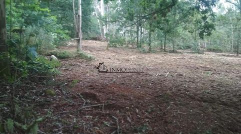 Foto 5 de Casa o chalet en venta en Cotobade, Pontevedra