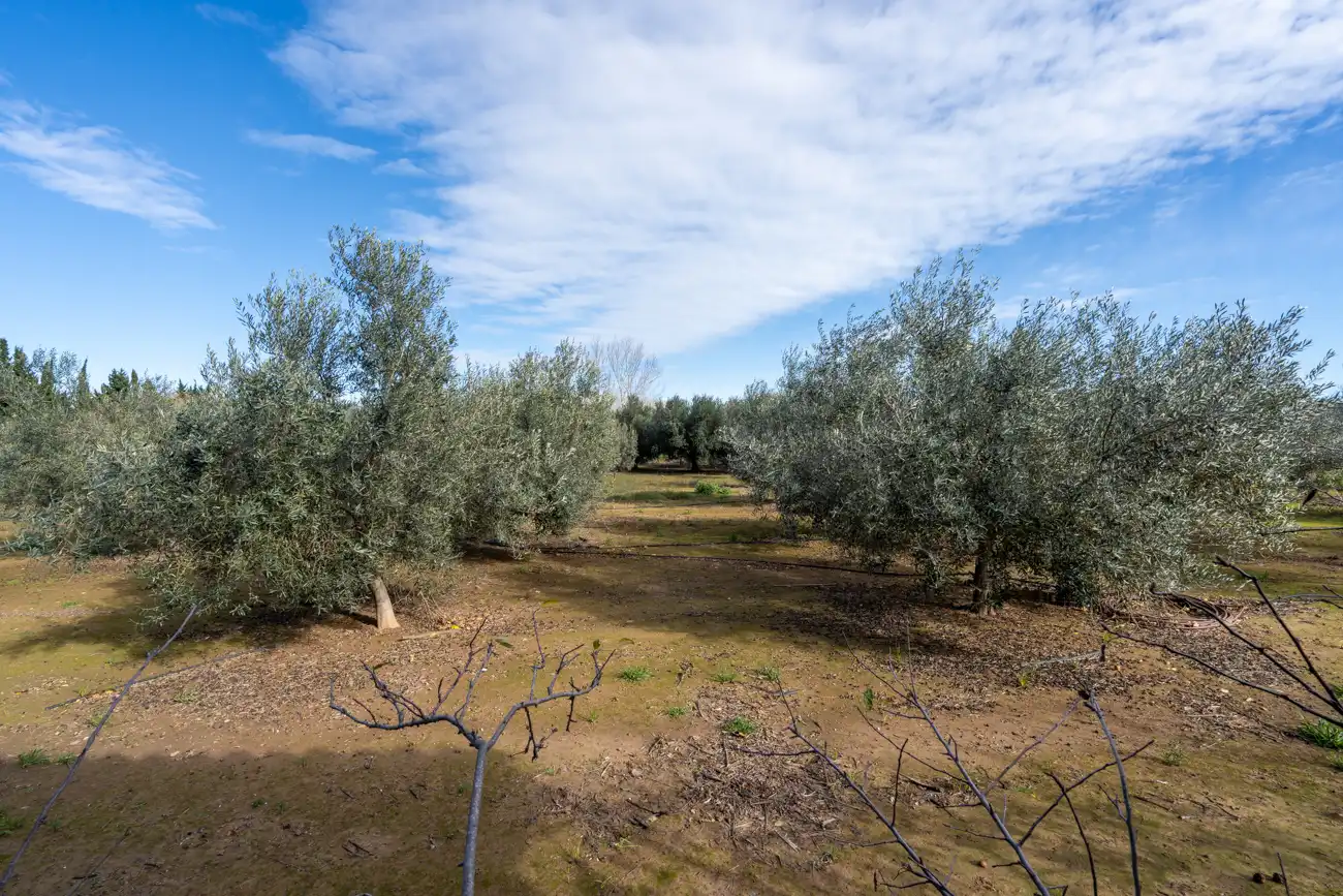 Finca rústica en venta en Tortosa con Lavadora