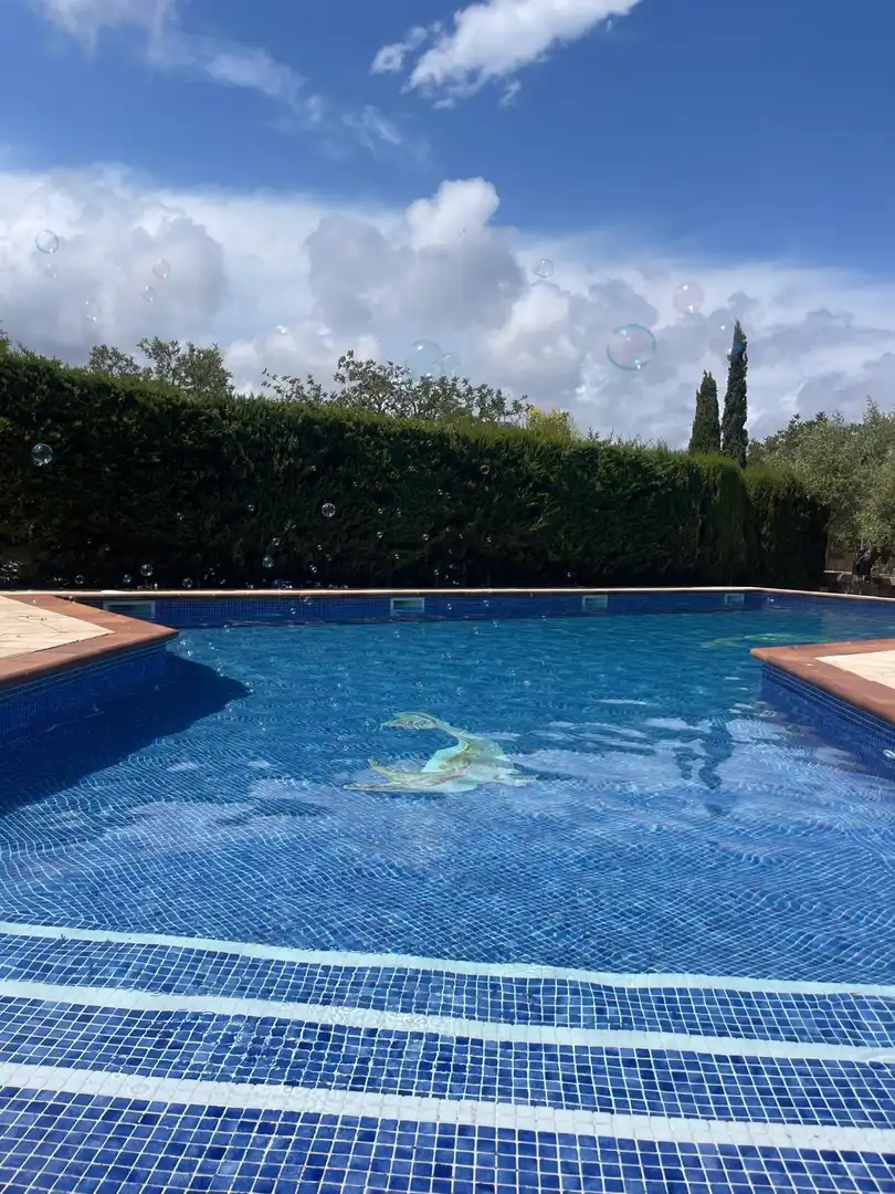 Maison avec piscine à vendre à Carrer BASSA DE L'ESPINAL, imagen 60