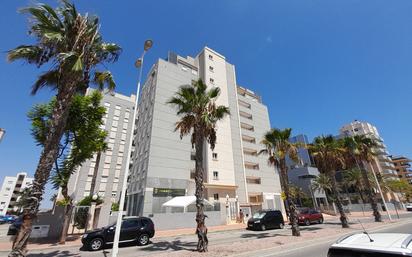 Vista exterior de Pis en venda en Guardamar del Segura amb Piscina