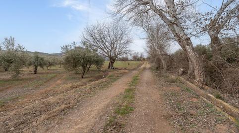 Foto 4 de Terreno en venta en  Polígono 23 Parcela 63 la Zanja. Albolote (granad, 23, Albolote, Granada