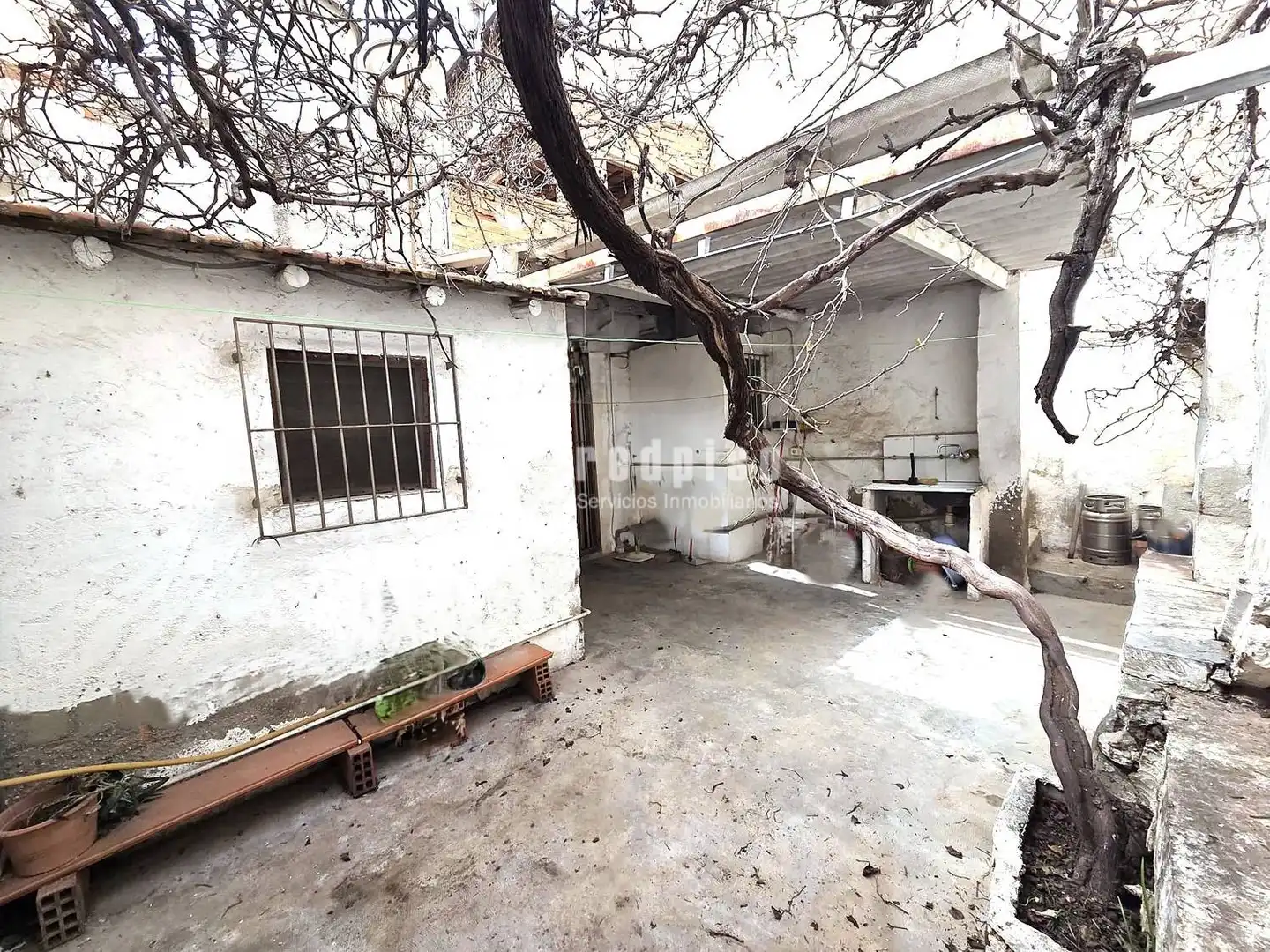 Casa o chalet en venta en Murcia con Terraza