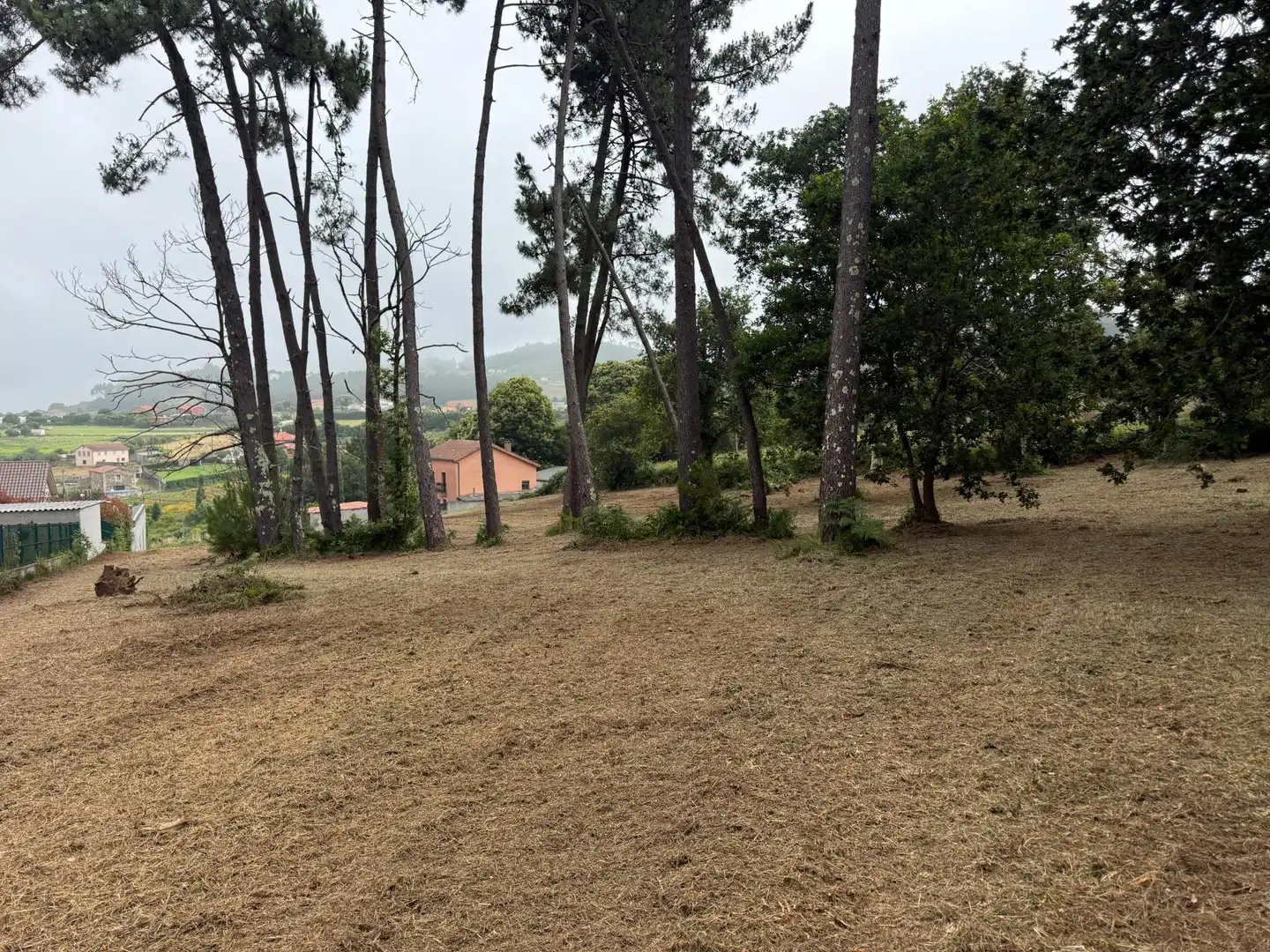 Terrenys i solars en venda a Lugar PENA CORVO
