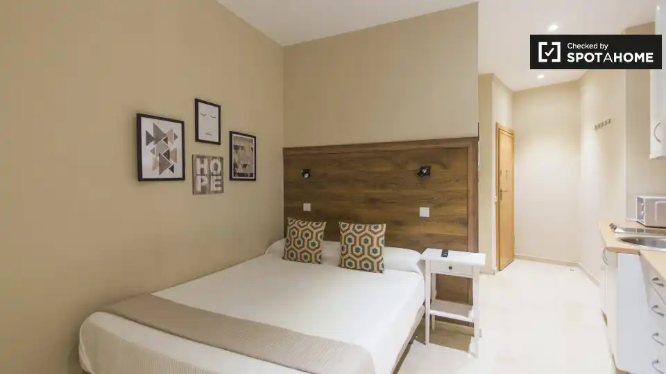 Wohnung zur Miete in Centro