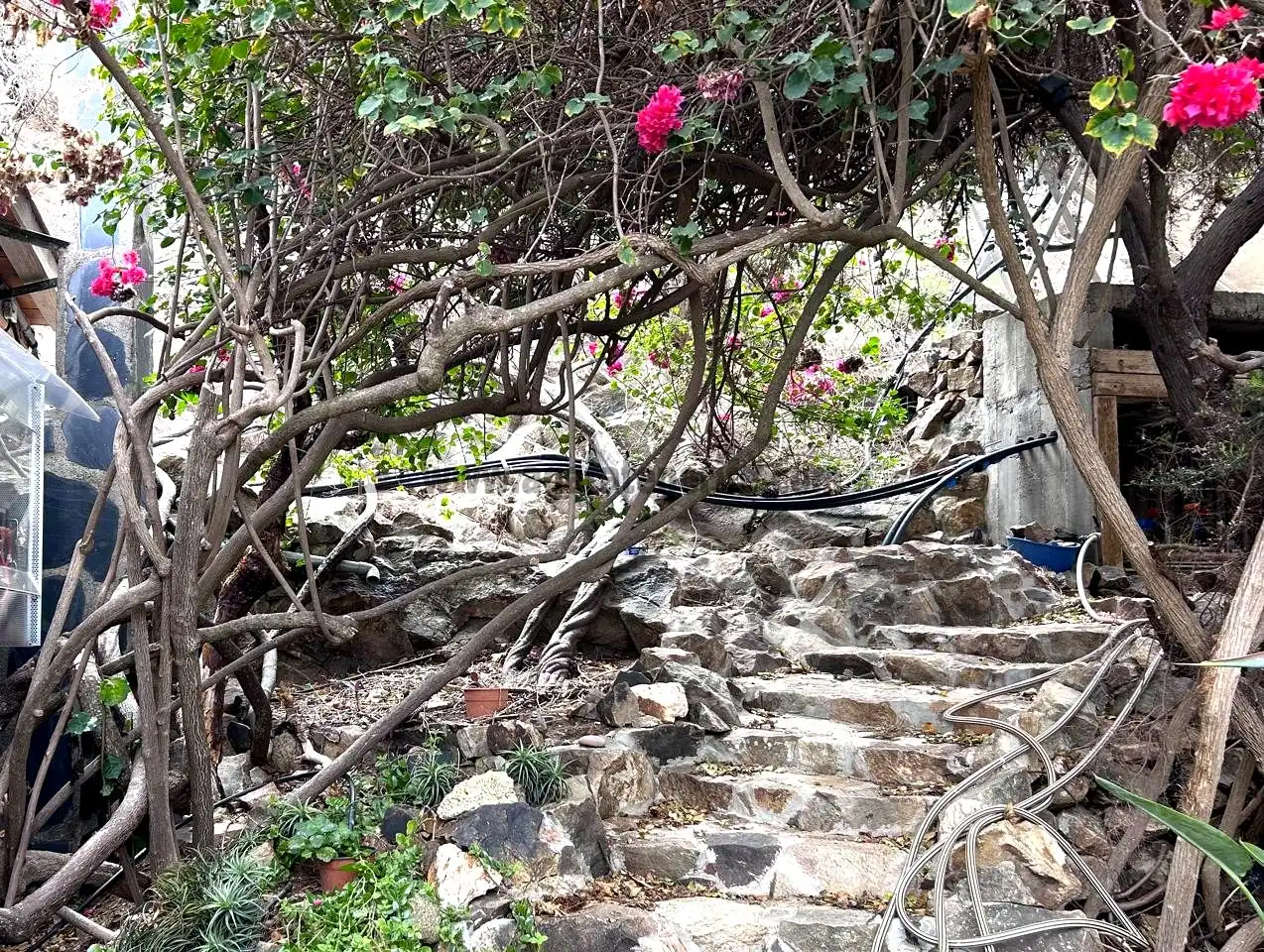 Jardín de Finca rústica en venta en Vallehermoso con Aire acondicionado, Calefacción y Jardín privado