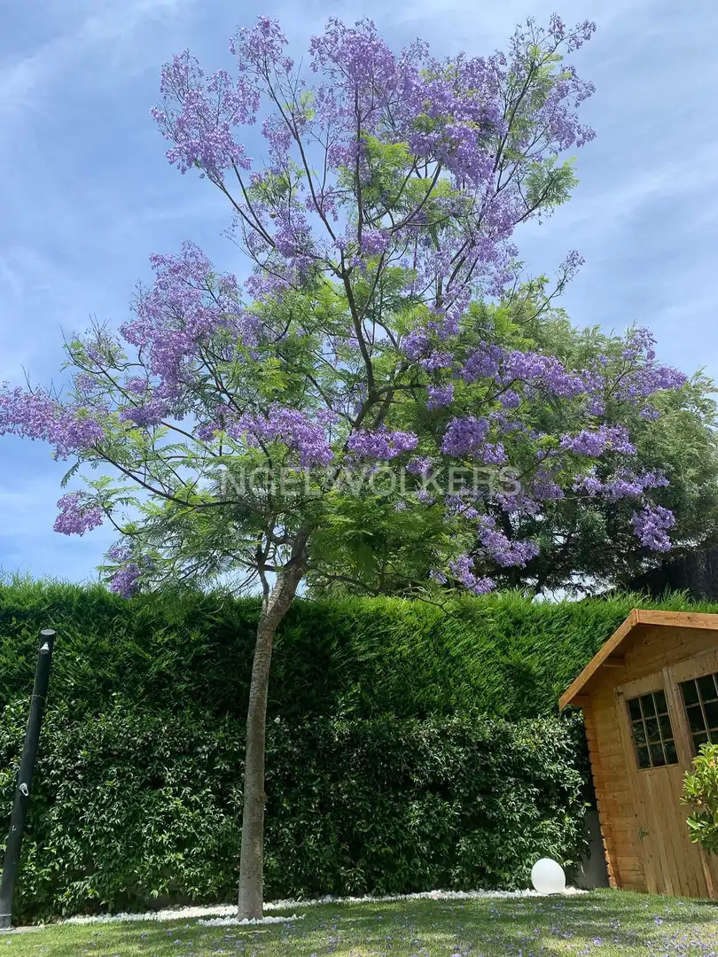 House with garden for sale in Santa Maria Balis - Can Riera - Can Jordi, imagen 6