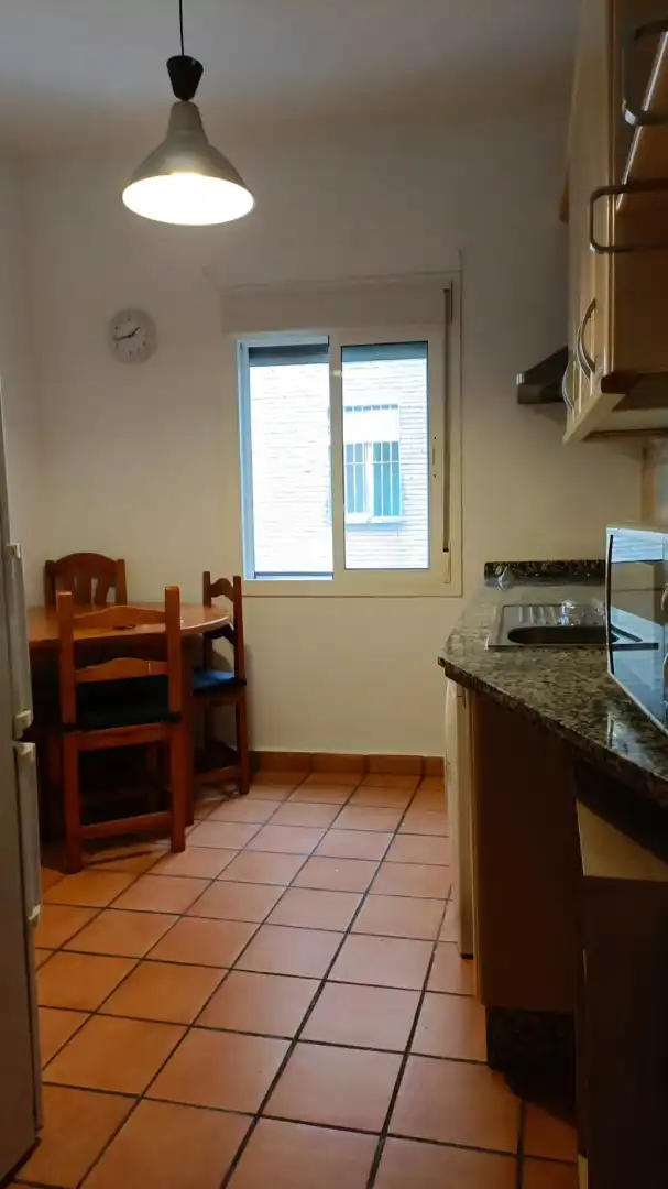 Kitchen of Apartments for rent in Sevilla  with Furnished