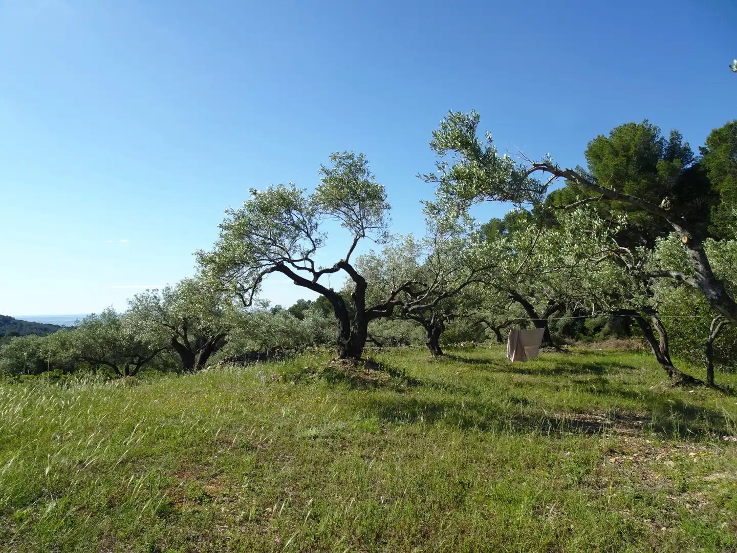 Finca rústica en venta en El Perelló
