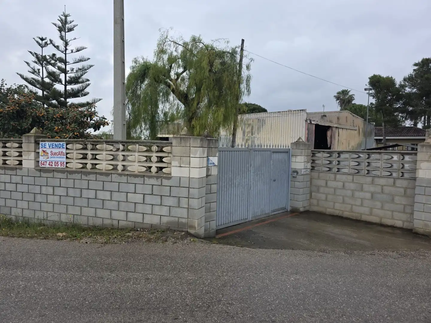 Lands and plots for sale in Sueca ciudad, imagen 8