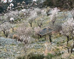 Jardí de Terreny en venda en Rubite