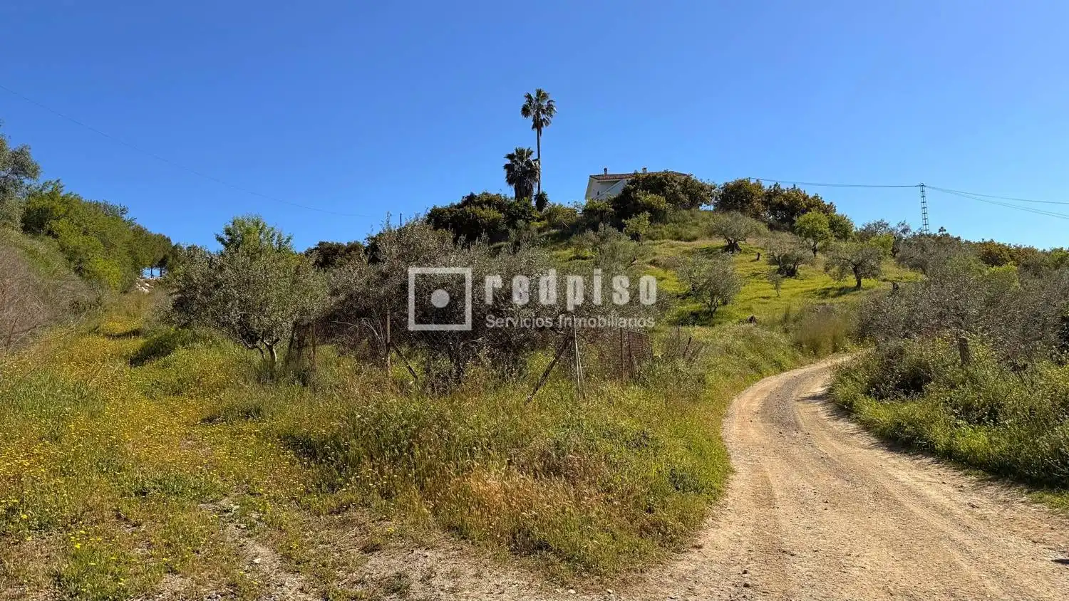 Casa con jardín en venta en Diseminados, imagen 48
