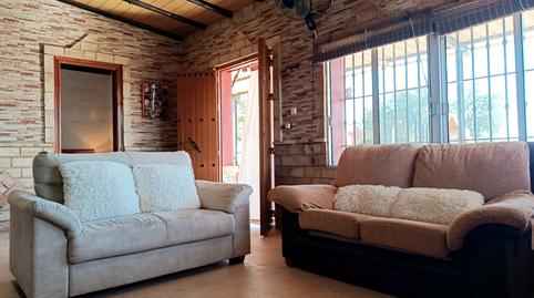 Photo 3 of Country homes for sale in N/a, Paterna del Campo, Huelva