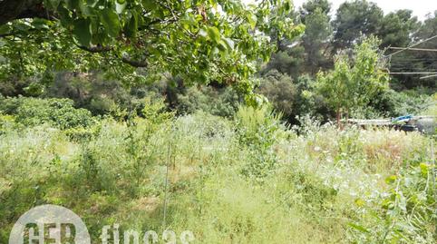 Photo 4 of Residential for sale in Calle Torrent del Salt, 20, Can Palet de Vista Alegre, Barcelona