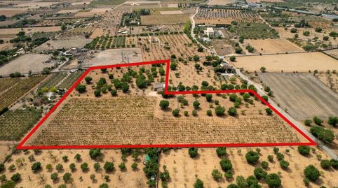 Foto 4 de Terreny en venda a Consell, Illes Balears
