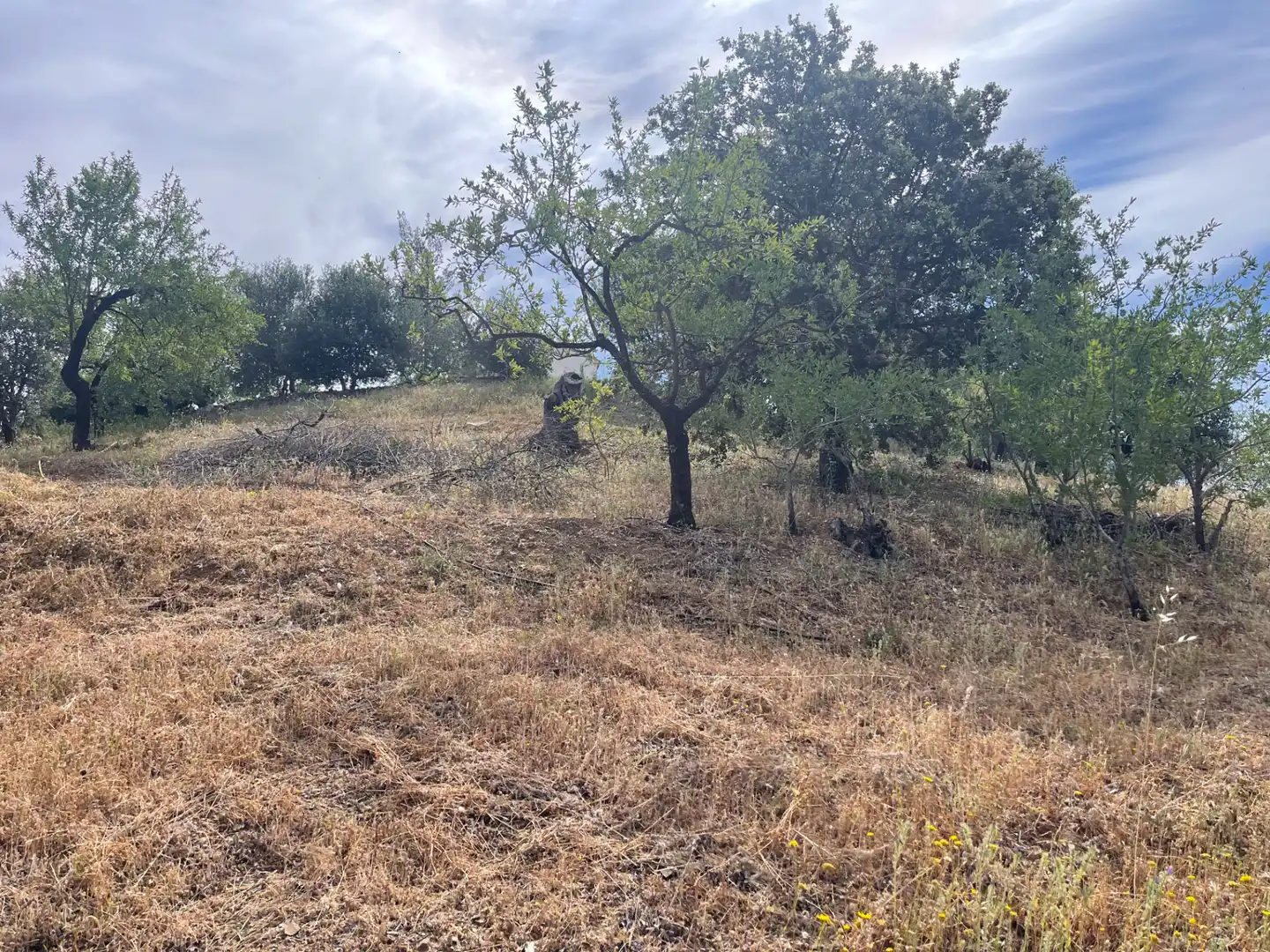 Terreno en venta en Guaro