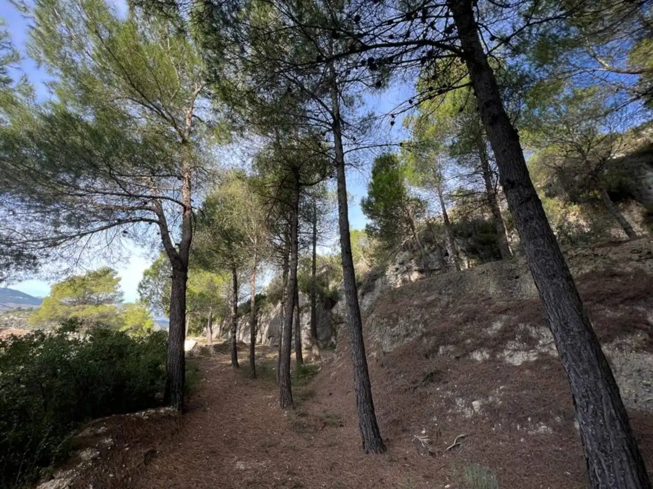 Villa avec jardin à vendre à Penàguila, imagen 85