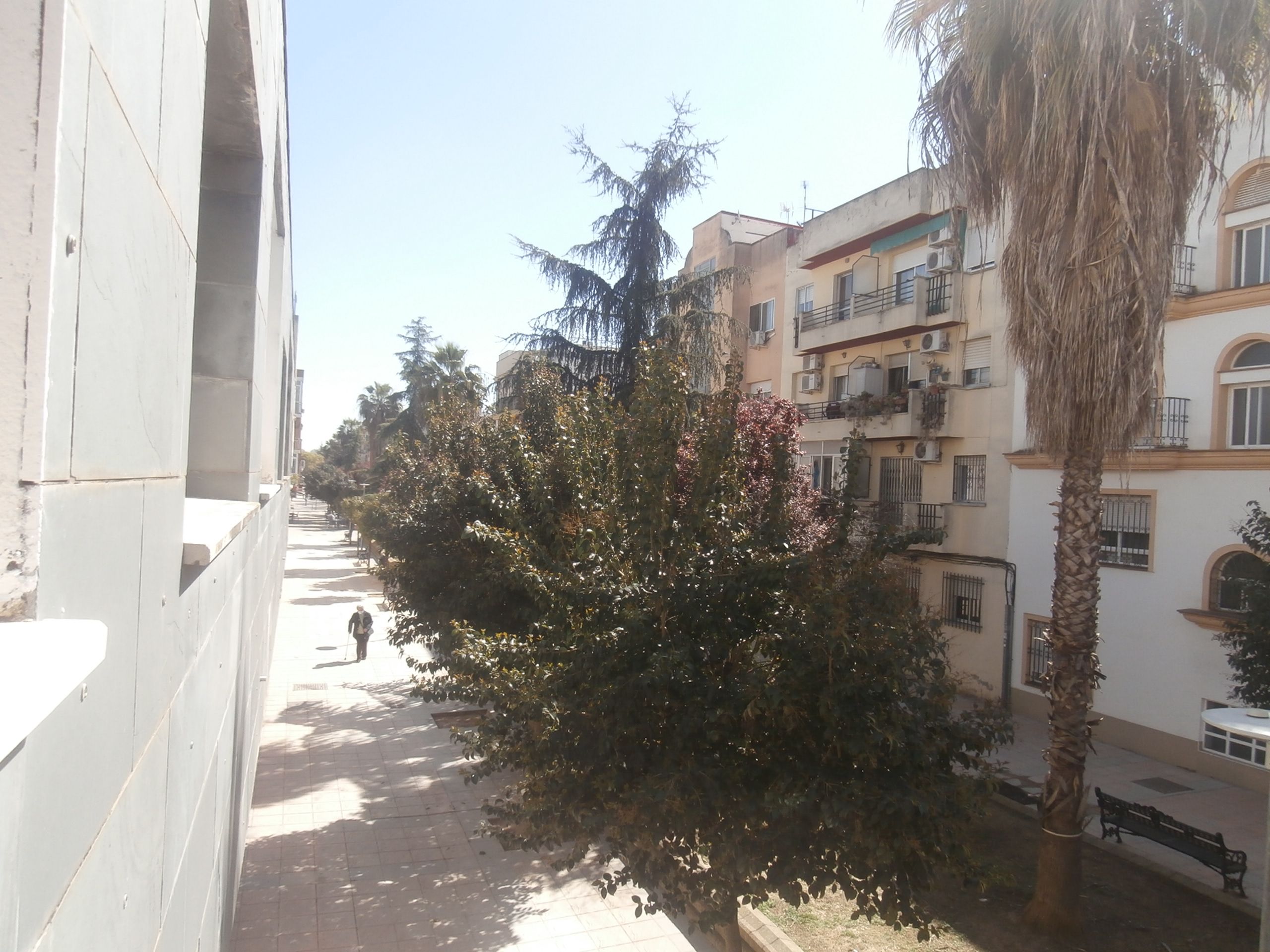 Apartament de lloguer a Calle Dos de Mayo, San Roque - Ronda Norte