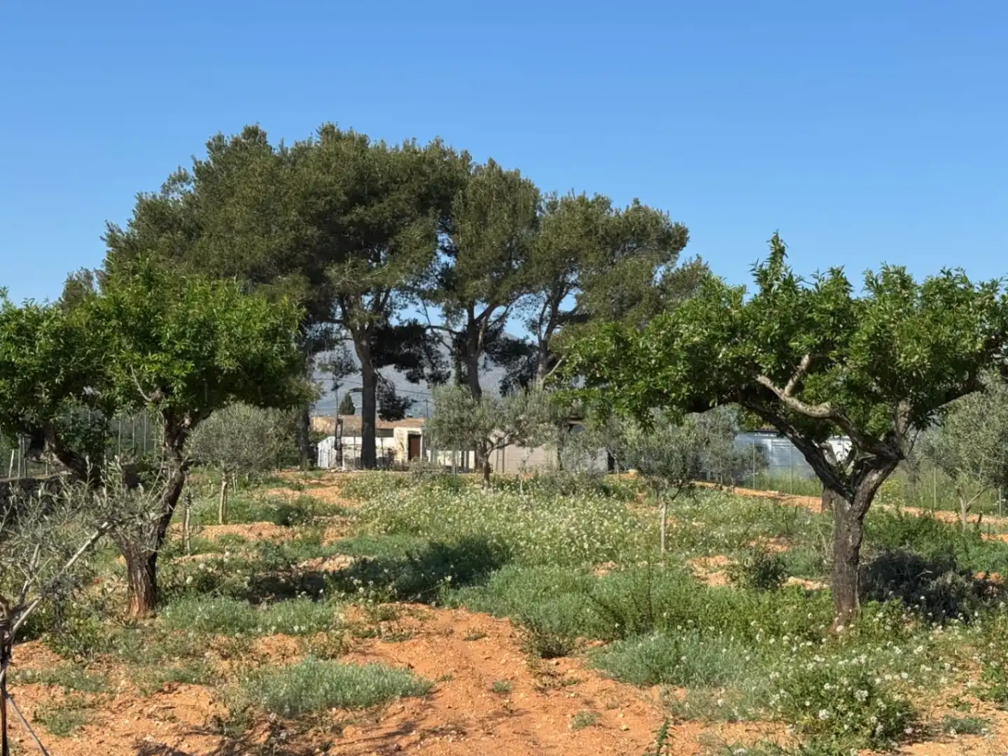 Maison rustique avec piscine à vendre à Benissa pueblo, imagen 2